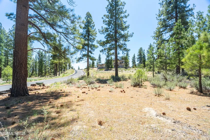 46 Boulders Bnd, Carson City, Nevada 89705, ,Land,Residential,Boulders Bnd,250050265