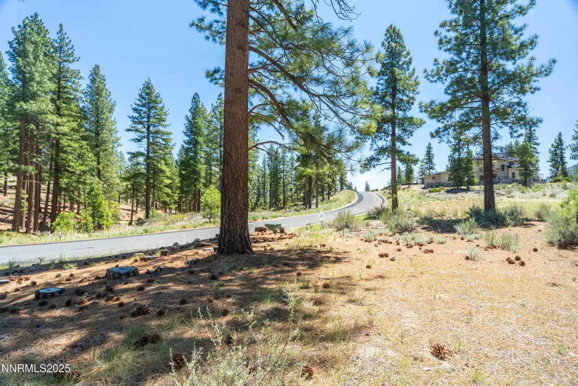 46 Boulders Bnd, Carson City, Nevada 89705, ,Land,Residential,Boulders Bnd,250050265