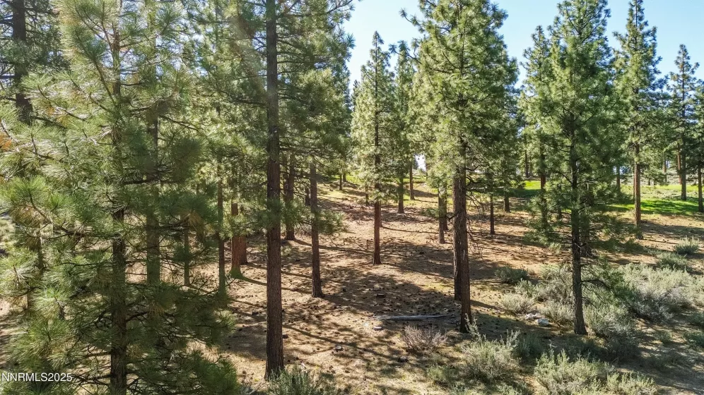 249 Redding, Carson City, Nevada 89705, ,Land,Residential,Redding,250050266