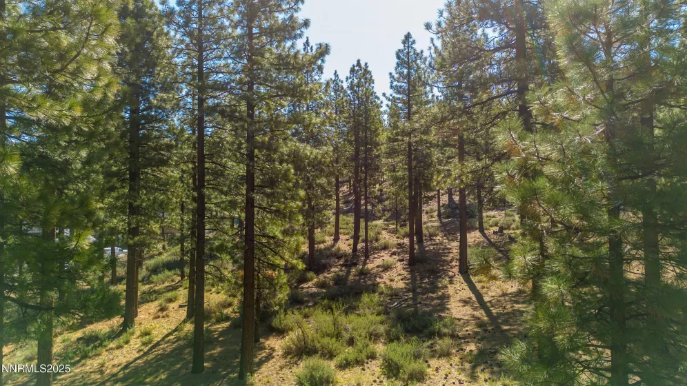 249 Redding, Carson City, Nevada 89705, ,Land,Residential,Redding,250050266