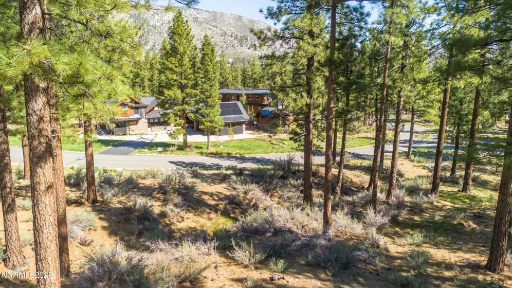 249 Redding, Carson City, Nevada 89705, ,Land,Residential,Redding,250050266