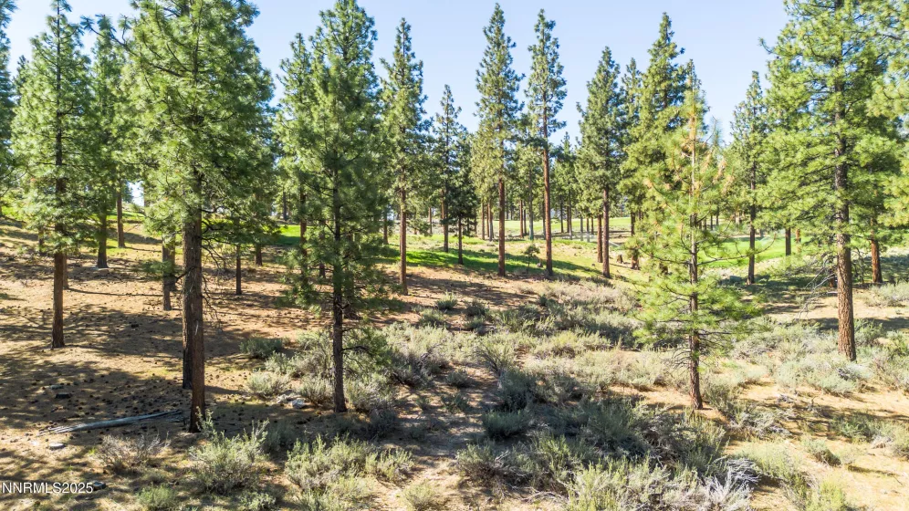 249 Redding, Carson City, Nevada 89705, ,Land,Residential,Redding,250050266