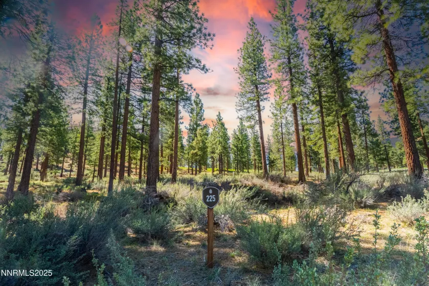 249 Redding, Carson City, Nevada 89705, ,Land,Residential,Redding,250050266