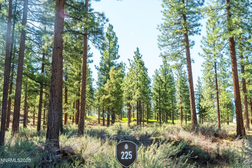 249 Redding, Carson City, Nevada 89705, ,Land,Residential,Redding,250050266