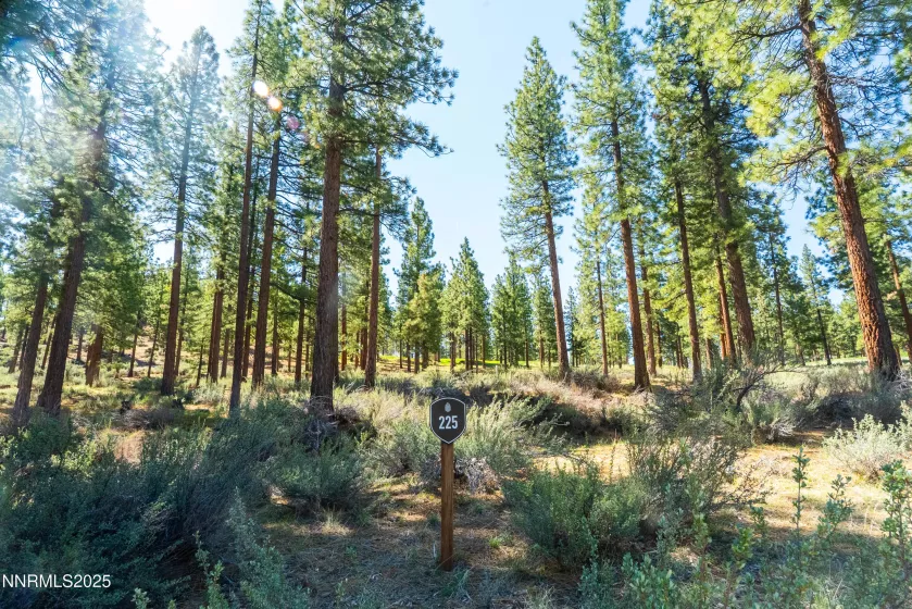 249 Redding, Carson City, Nevada 89705, ,Land,Residential,Redding,250050266