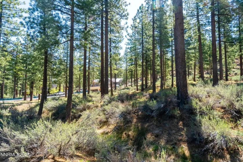 249 Redding, Carson City, Nevada 89705, ,Land,Residential,Redding,250050266