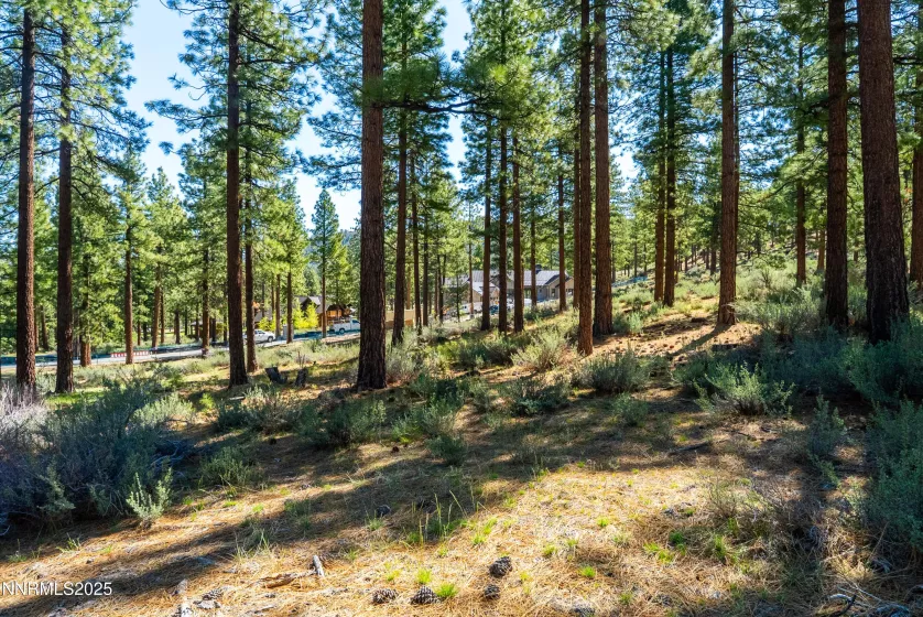 249 Redding, Carson City, Nevada 89705, ,Land,Residential,Redding,250050266