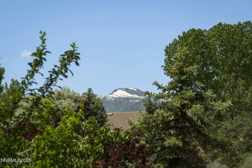 3687 Bozeman, Reno, Nevada 89511, 4 Bedrooms Bedrooms, ,3 BathroomsBathrooms,Residential,Residential,Bozeman,250050964