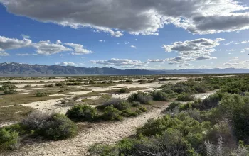 201 Fish Springs, Reno, Nevada 89433, ,Land,Residential,Fish Springs,250050967