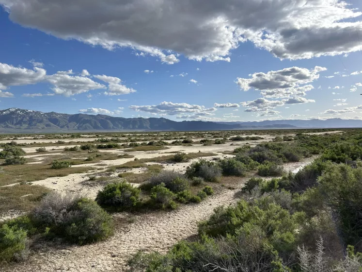 201 Fish Springs, Reno, Nevada 89433, ,Land,Residential,Fish Springs,250050967