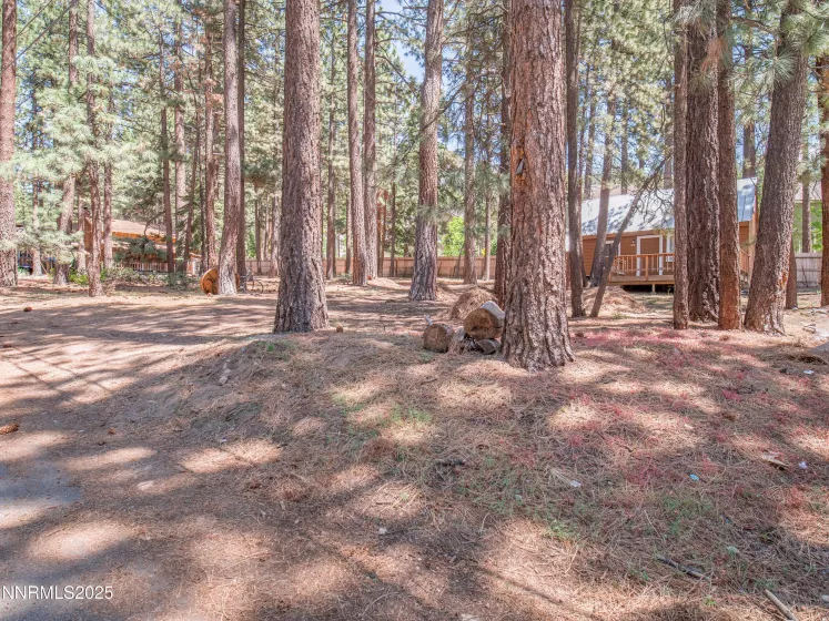 3790 Stewart, South Lake Tahoe, California 96150, 2 Bedrooms Bedrooms, ,1 BathroomBathrooms,Residential,Residential,Stewart,250050973