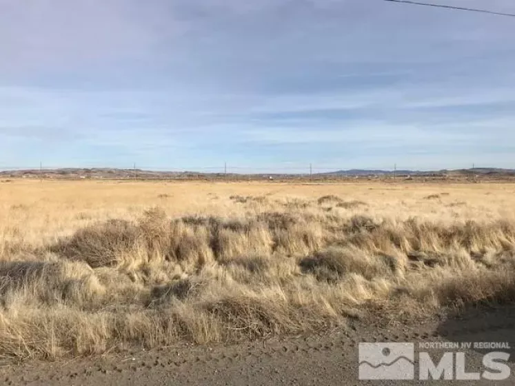 4650 Deodar, Silver Springs, Nevada 89429, ,Land,Residential,Deodar,240007009