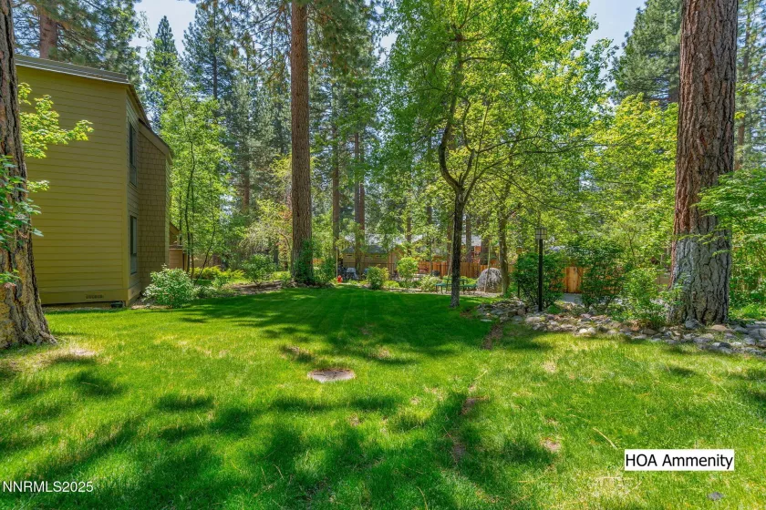 136 Juanita, Incline Village, Nevada 89451, 1 Bedroom Bedrooms, ,1 BathroomBathrooms,Residential,Residential,Juanita,250051004