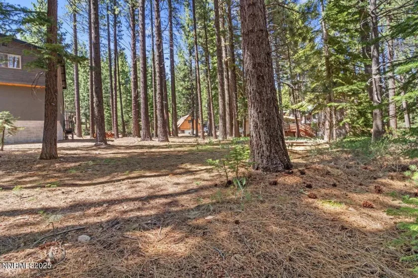 1871 Normuk, South Lake Tahoe, California 96150, ,Land,Residential,Normuk,250051011