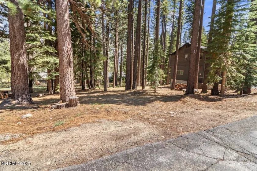 1871 Normuk, South Lake Tahoe, California 96150, ,Land,Residential,Normuk,250051011