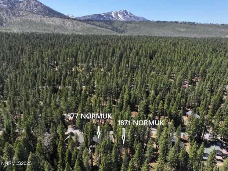 1871 Normuk, South Lake Tahoe, California 96150, ,Land,Residential,Normuk,250051011