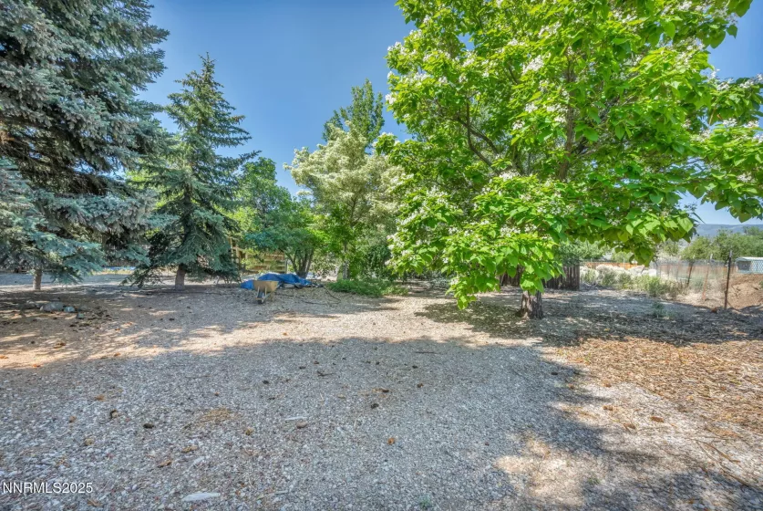 15333 Kivett, Reno, Nevada 89521, 3 Bedrooms Bedrooms, ,2 BathroomsBathrooms,Residential,Residential,Kivett,250051013