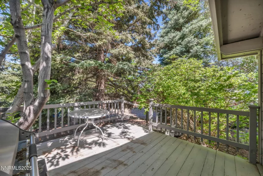 15333 Kivett, Reno, Nevada 89521, 3 Bedrooms Bedrooms, ,2 BathroomsBathrooms,Residential,Residential,Kivett,250051013