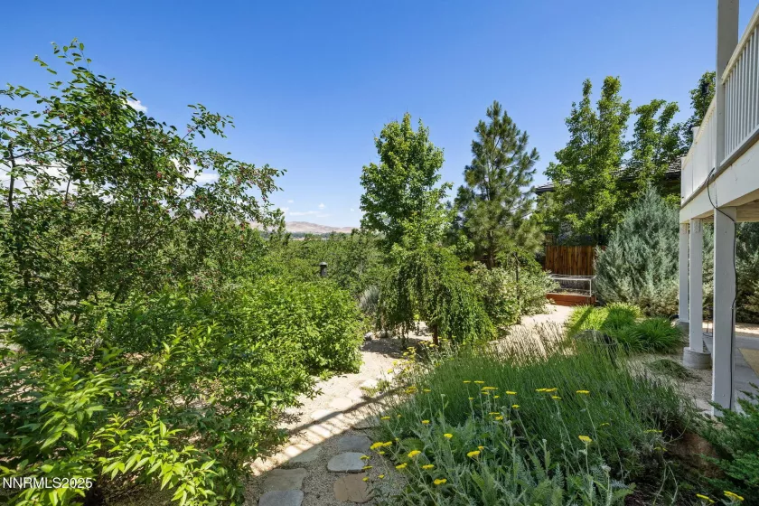 1435 Palisade, Reno, Nevada 89509, 4 Bedrooms Bedrooms, ,3 BathroomsBathrooms,Residential,Residential,Palisade,250051023