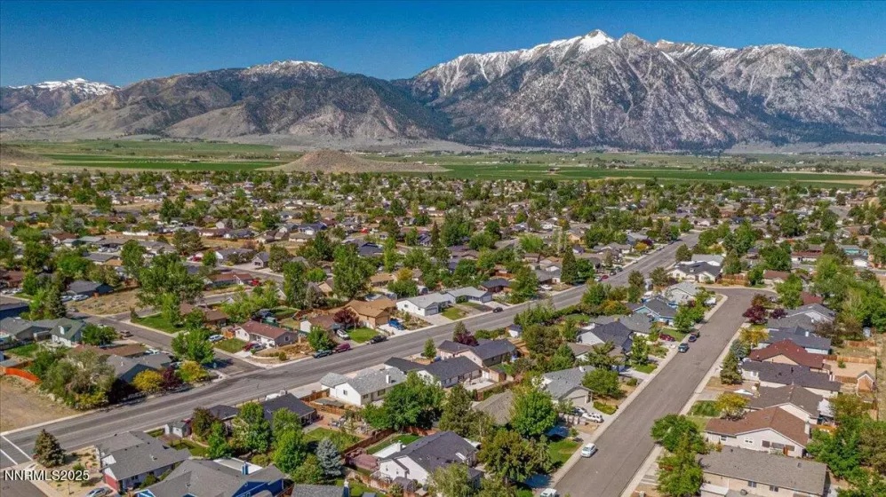 806 Bluerock, Gardnerville, Nevada 89460, 4 Bedrooms Bedrooms, ,2 BathroomsBathrooms,Residential,Residential,Bluerock,250051027