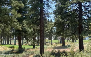 245 Redding Way, Carson City, Nevada 89705, ,Land,Residential,Redding Way,250051057