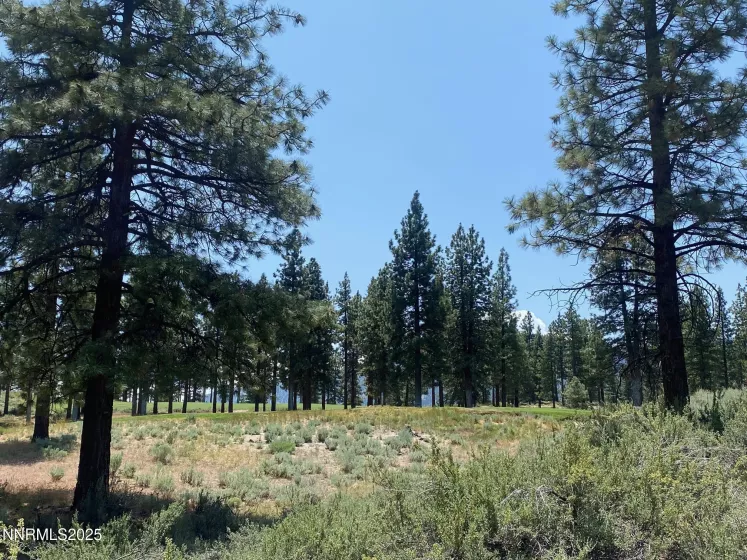 245 Redding Way, Carson City, Nevada 89705, ,Land,Residential,Redding Way,250051057