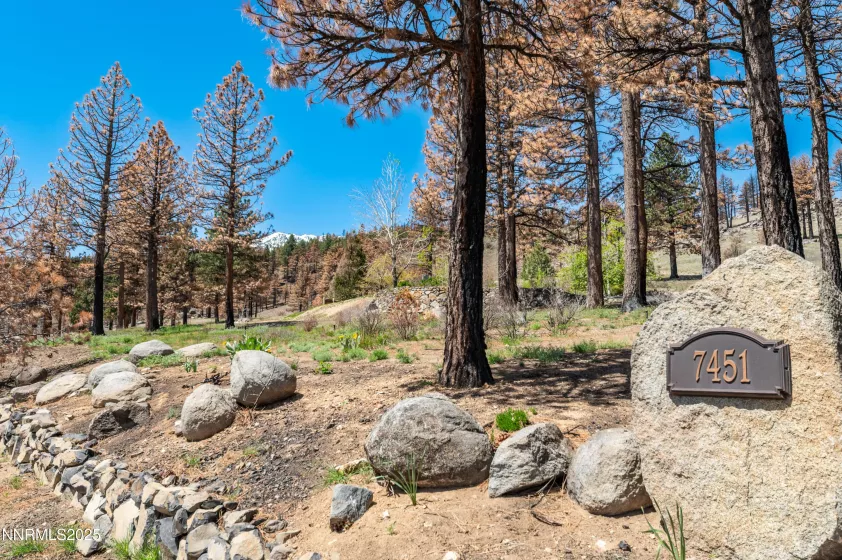 7451 Granite Ridge, Washoe Valley, Nevada 89704, ,Land,Residential,Granite Ridge,250051088