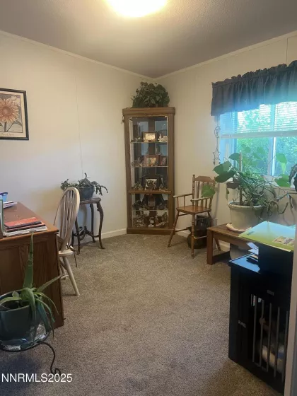 22 Penrose, Yerington, Nevada 89447, 3 Bedrooms Bedrooms, ,2 BathroomsBathrooms,Residential,Residential,Penrose,250051090