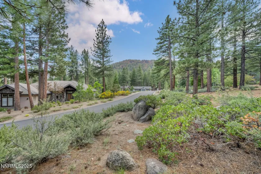 307 Jeffrey Pine, Reno, Nevada 89511, ,Land,Residential,Jeffrey Pine,250051103