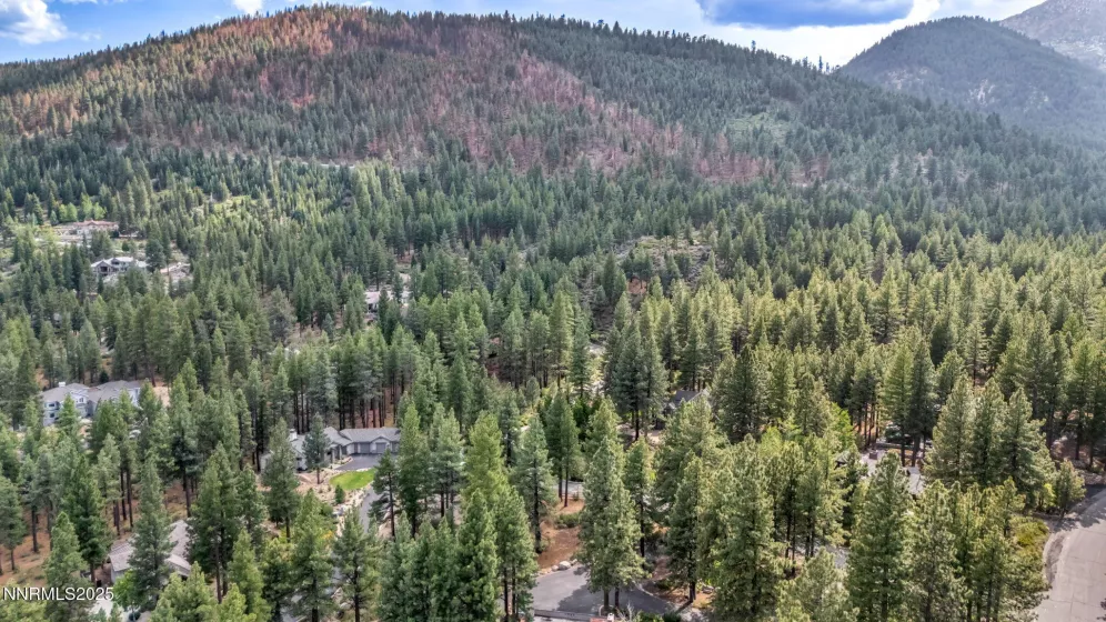 307 Jeffrey Pine, Reno, Nevada 89511, ,Land,Residential,Jeffrey Pine,250051103
