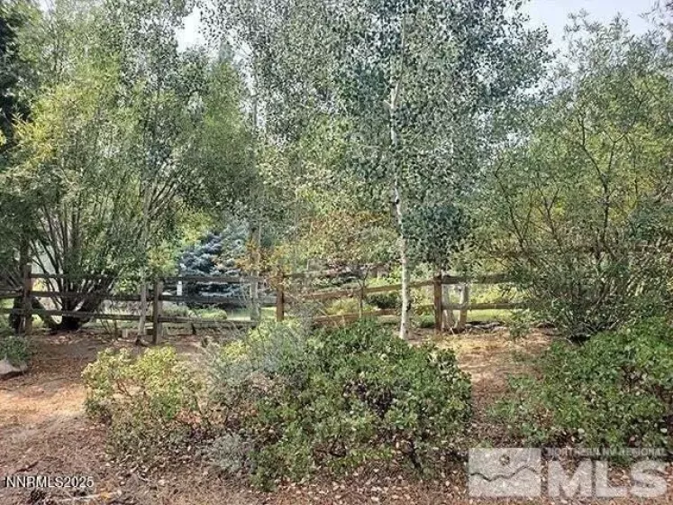 307 Jeffrey Pine, Reno, Nevada 89511, ,Land,Residential,Jeffrey Pine,250051103