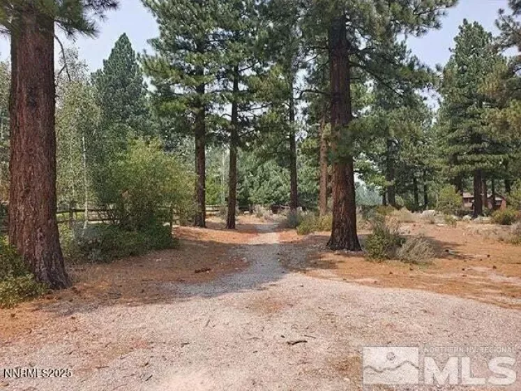 307 Jeffrey Pine, Reno, Nevada 89511, ,Land,Residential,Jeffrey Pine,250051103