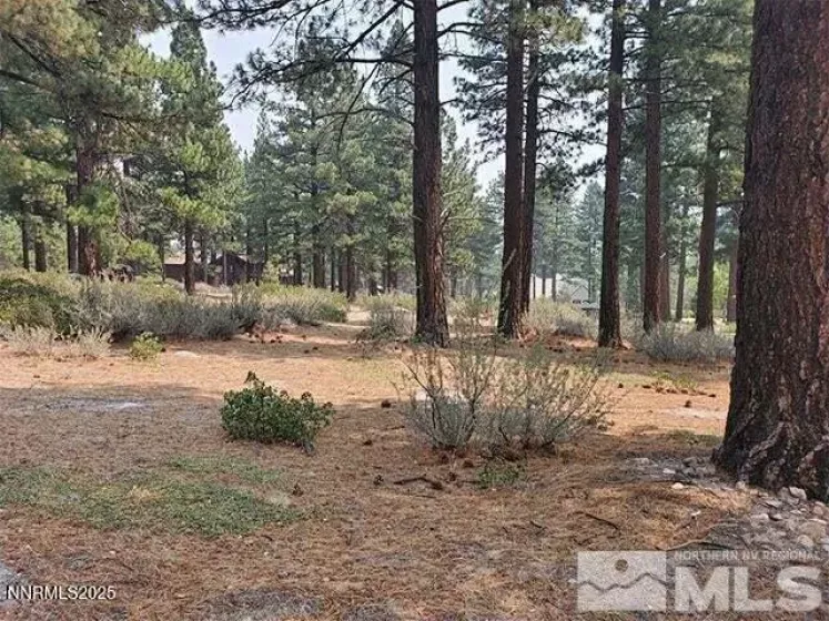 307 Jeffrey Pine, Reno, Nevada 89511, ,Land,Residential,Jeffrey Pine,250051103