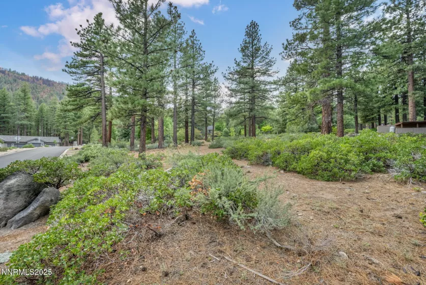 307 Jeffrey Pine, Reno, Nevada 89511, ,Land,Residential,Jeffrey Pine,250051103