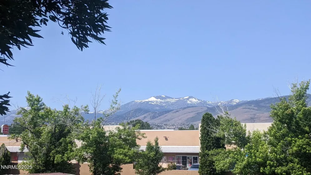 555 Patriot, Reno, Nevada 89511, 2 Bedrooms Bedrooms, ,1 BathroomBathrooms,Residential,Residential,Patriot,250051117