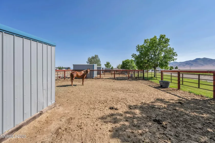 2505 Baines, Winnemucca, Nevada 89445, 5 Bedrooms Bedrooms, ,3 BathroomsBathrooms,Farm & Ranch,Residential,Baines,250051128