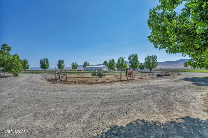 2505 Baines, Winnemucca, Nevada 89445, 5 Bedrooms Bedrooms, ,3 BathroomsBathrooms,Farm & Ranch,Residential,Baines,250051128