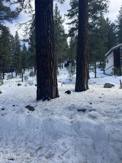 333 Ski, Incline Village, Nevada 89451, 1 Bedroom Bedrooms, ,2 BathroomsBathrooms,Residential,Residential,Ski,250051141