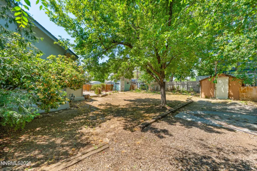 side/ back yard