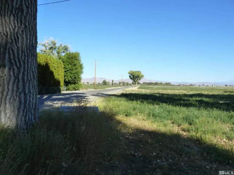 162 Artesia, Wellington, Nevada 89444, 4 Bedrooms Bedrooms, ,1 BathroomBathrooms,Farm & Ranch,Residential,Artesia,240000224
