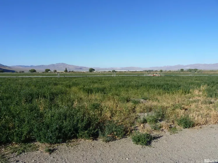 162 Artesia, Wellington, Nevada 89444, 4 Bedrooms Bedrooms, ,1 BathroomBathrooms,Farm & Ranch,Residential,Artesia,240000224