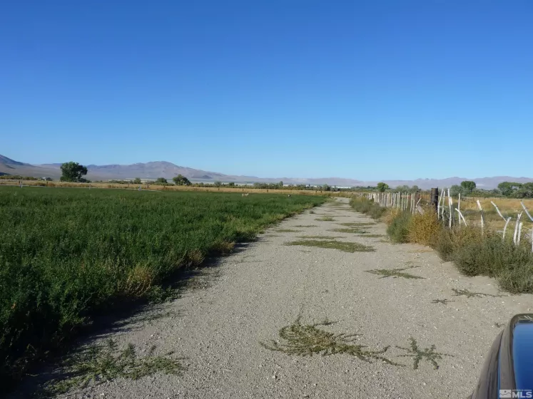162 Artesia, Wellington, Nevada 89444, 4 Bedrooms Bedrooms, ,1 BathroomBathrooms,Farm & Ranch,Residential,Artesia,240000224