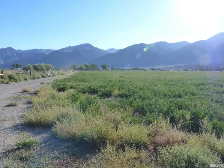 162 Artesia, Wellington, Nevada 89444, 4 Bedrooms Bedrooms, ,1 BathroomBathrooms,Farm & Ranch,Residential,Artesia,240000224