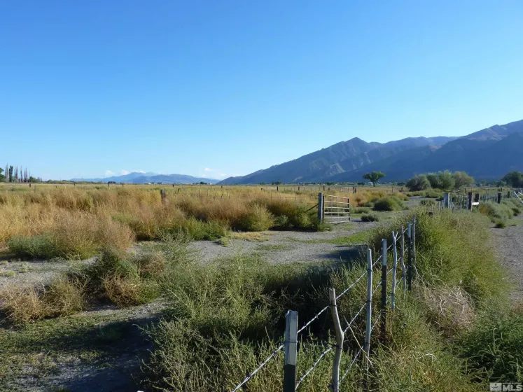 162 Artesia, Wellington, Nevada 89444, 4 Bedrooms Bedrooms, ,1 BathroomBathrooms,Farm & Ranch,Residential,Artesia,240000224