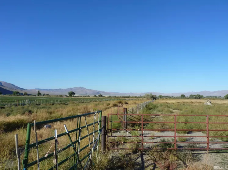 162 Artesia, Wellington, Nevada 89444, 4 Bedrooms Bedrooms, ,1 BathroomBathrooms,Farm & Ranch,Residential,Artesia,240000224