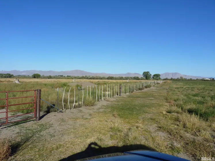 162 Artesia, Wellington, Nevada 89444, 4 Bedrooms Bedrooms, ,1 BathroomBathrooms,Farm & Ranch,Residential,Artesia,240000224