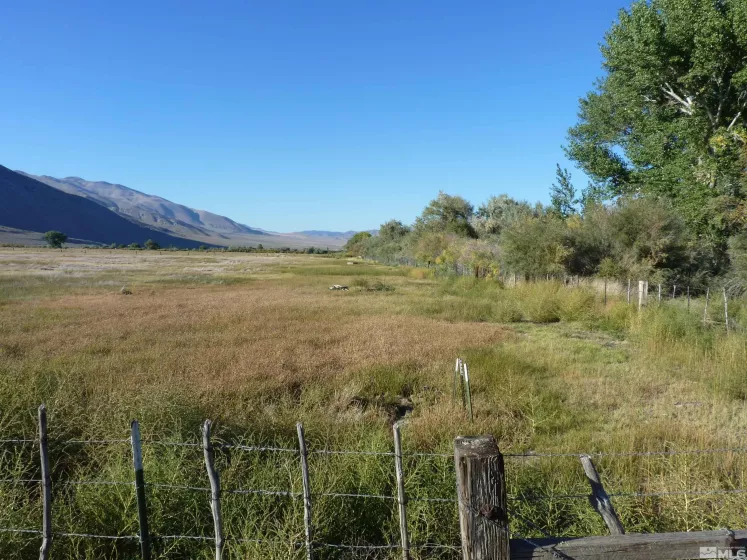 162 Artesia, Wellington, Nevada 89444, 4 Bedrooms Bedrooms, ,1 BathroomBathrooms,Farm & Ranch,Residential,Artesia,240000224