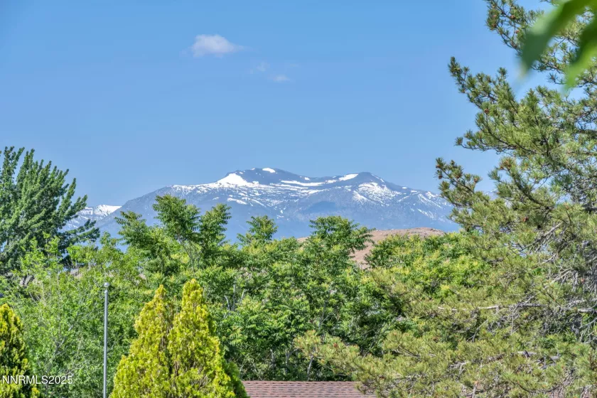 Glorious view of Mt. Rose