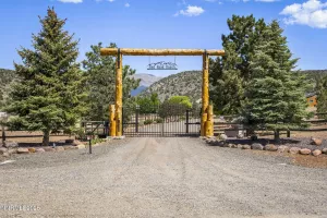 2607 Bowers, Gardnerville, Nevada 89410, 5 Bedrooms Bedrooms, ,7 BathroomsBathrooms,Residential,Residential,Bowers,250051197