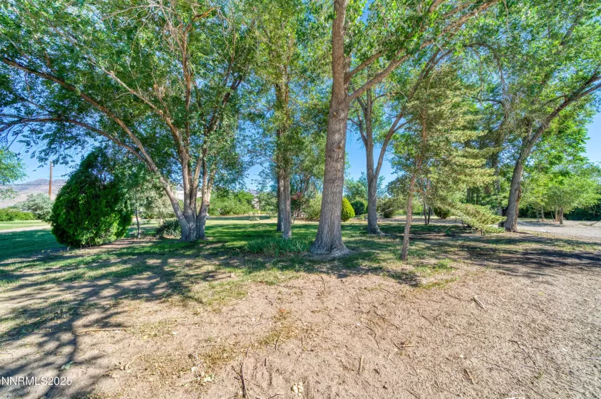 7049 US-50, Dayton, Nevada 89403, 4 Bedrooms Bedrooms, ,2 BathroomsBathrooms,Residential,Residential,US-50,250051201